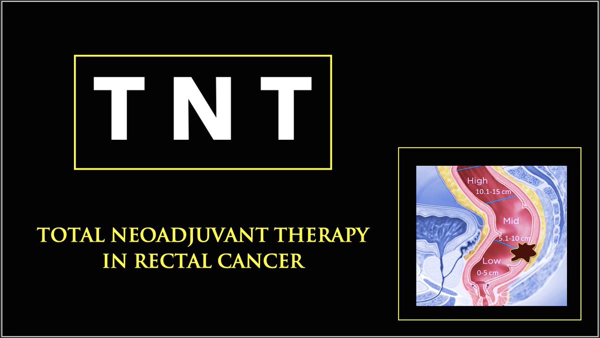 🚨🚨

Do you know why Total Neoadjuvant therapy #TNT in locally advanced #RectalCancer (LARC) is getting so much attention? 

Bookmark this thread 🧵- your own TNT🧨💣 ready reckoner!

#MedTwitter @me4_so @somedocs @PColorectal @ASCRS_1 @ESSOnews @escp_tweets @Cirbosque