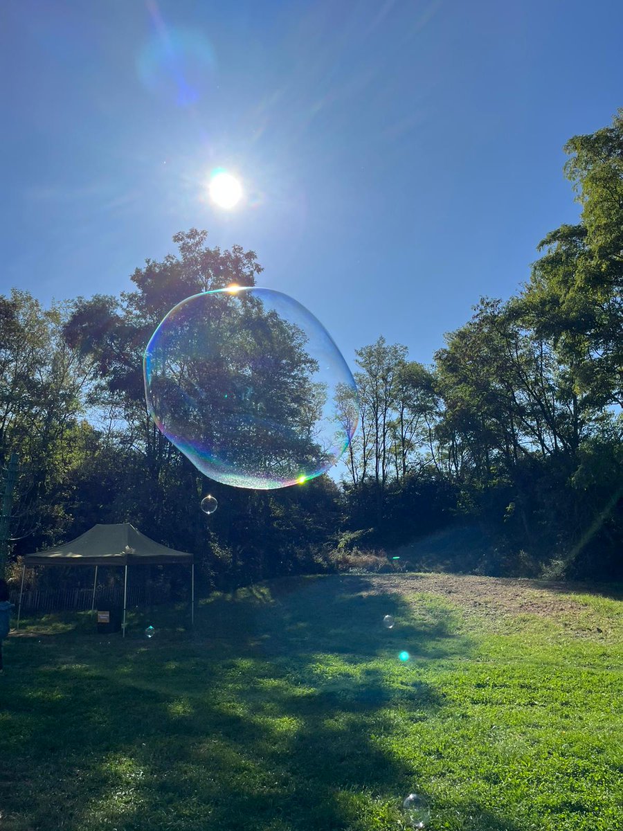 Galanne 🌸 tweet media