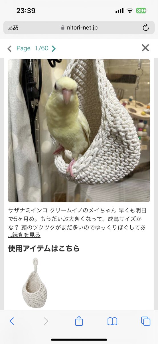 公式ニトリ様からご連絡頂いて、メイちゃんのお写真をニトリネットに載せていただきました＼＼\\٩( 'ω' )و //／／
本来は果物とか入れる袋だろう…用途とは違くて申し訳ないんですが、🦜ちゃんはカミカミしたりよじよじ登ったりととても気に入ってます(   ᷇࿀ ᷆  )