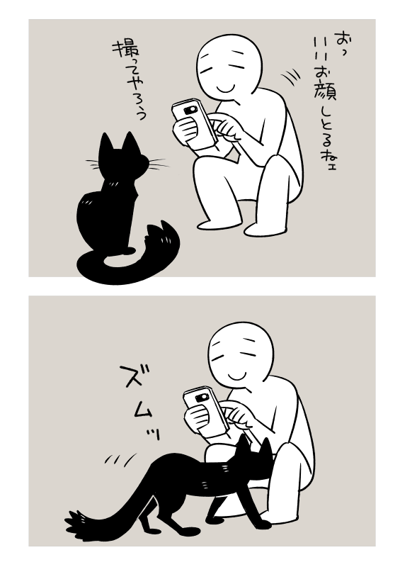 猫と人間 