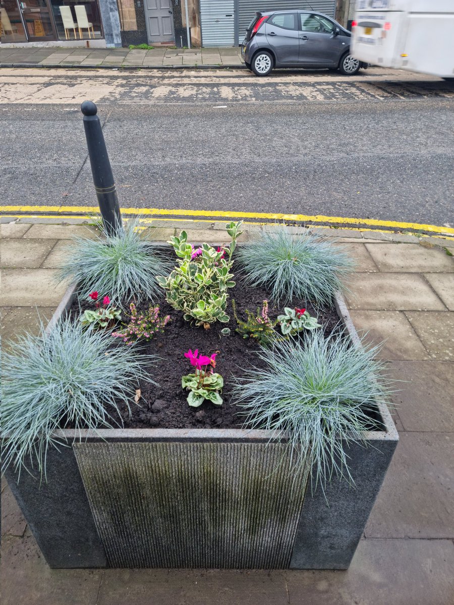 CB_CommCouncil's tweet photo. To this 🤩
Thank you soooo much to the Blackhall Horticultural Society 👏💪👍 https://t.co/kSHPmrAUqk