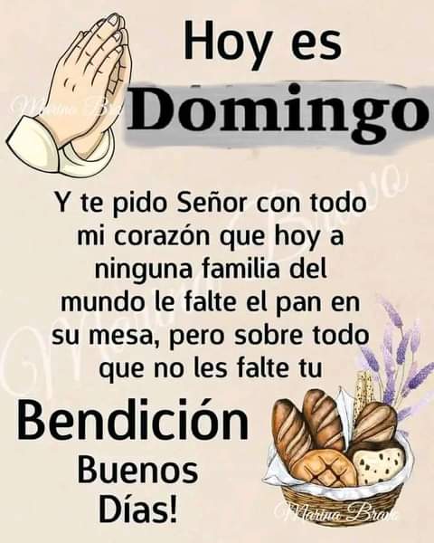 ANA PALAMAR (@palafox_bertha) on Twitter photo 