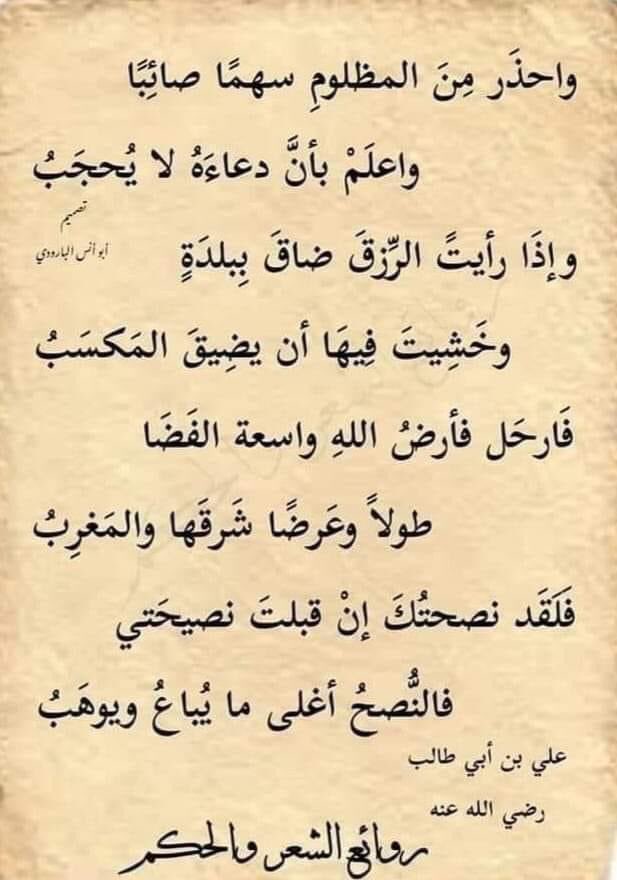 1sjdaaa's tweet photo. #عملية_طوفان_الاقصى https://t.co/oXmamliUzy