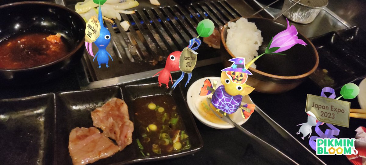 tatouan_d's tweet photo. パリに昔からある日本人の焼肉屋さん‼️初めて食べた友達も大満足してくれたぁ〜
#PikminBloom #ピクミンブルーム #ピクミンと焼肉 #matchan #Paris https://t.co/uKKI8gbQcV