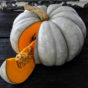 epiphronds's tweet photo. @TheManyMeteia Perhaps I can assist: 

1) Porcelain Doll Pink Pumpkin 
2) Jarrahdale Pumpkin
3) Queensland Blue Pumpkin
4) Purple Pumpkin Chilli (not technically a pumpkin, I know, but) https://t.co/dPnGiqXY2K