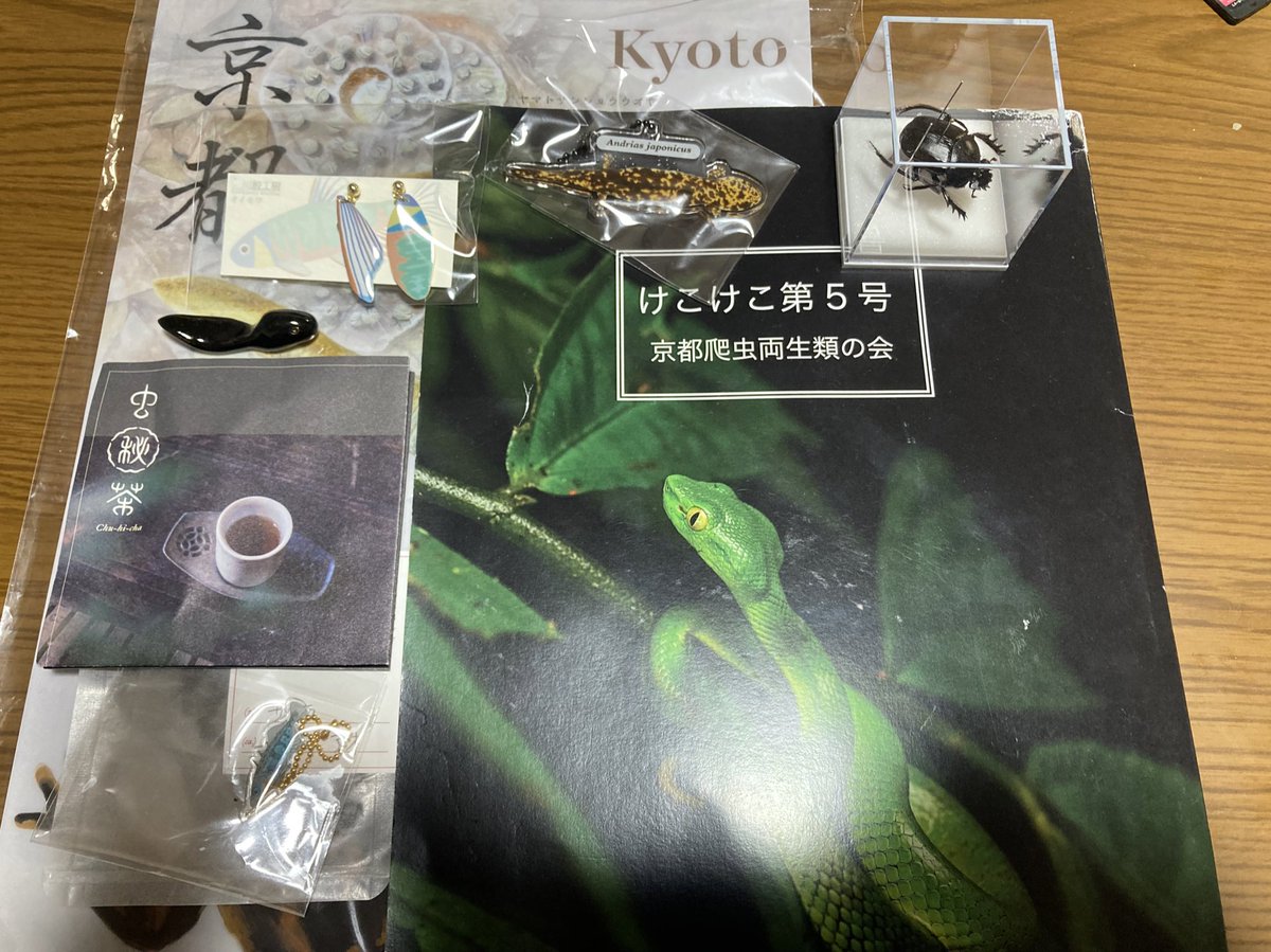 Ykkyoto_hyo17's tweet photo. 本日の戦利品
スカラベの標本衝動買いしてしまった
#equimonia https://t.co/oo6ejUlu6J