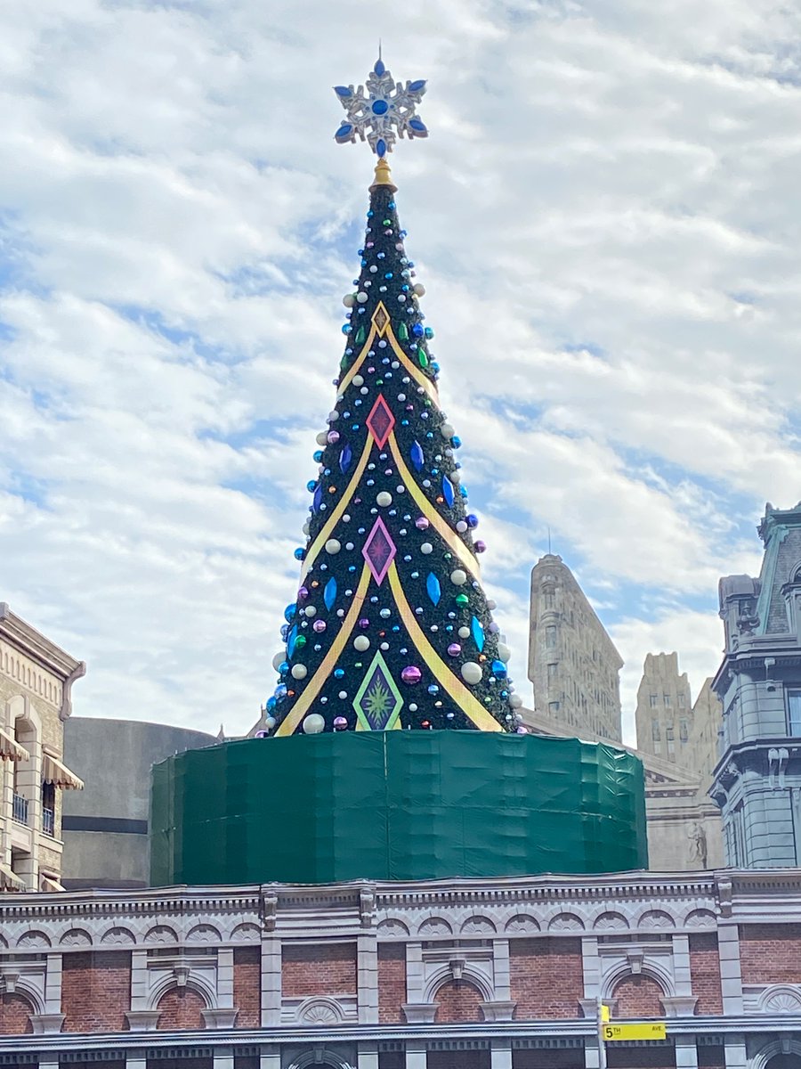 おそらく日本一早いツリーなのでは？🎄