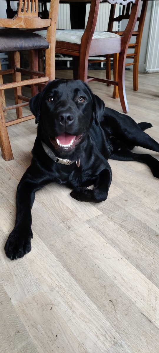 Superheld tweet media