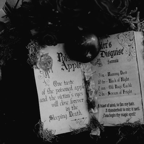 ᅟ ᅟ ᅟ ᅟ ᅟ ᅟ 
ᅟ ᅟ Lazing on a sunday afternoon.
ᅟ ᅟ ⠀⠀⠀⠀ #𝙴𝚟𝚒𝚕𝙌𝙐𝙀𝙀𝙉𝚍𝚊𝚢
ᅟ ᅟ ᅟ