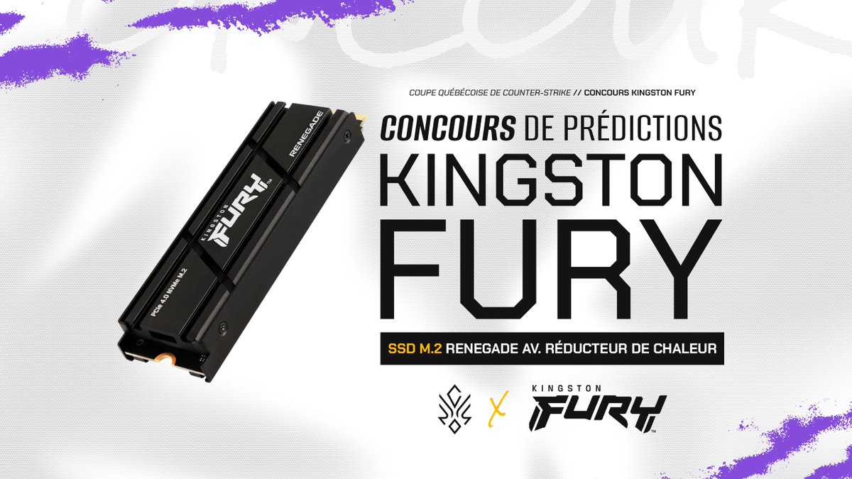 Coupe Québecoise de Counter-Strike tweet media