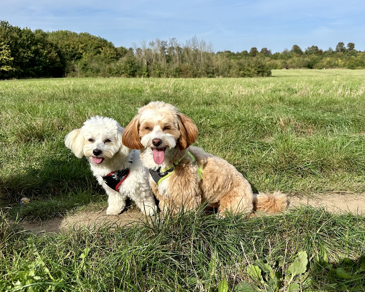 JimDavisOnAir's tweet photo. How was your weekend? For me it was #brunch with friends and #DogWalks in the sunshine!
I'll be with you from 7pm @magicfm with the perfect songs for your #SundayEvening
Share your #WeekendHighlights for a #SunShoutOut
https://t.co/NaaiqMIdOD https://t.co/wnse70EXR4