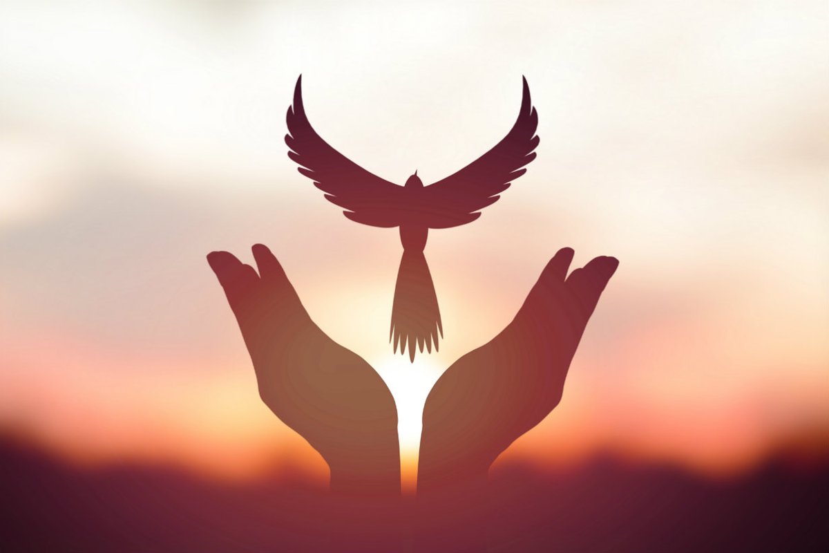 DrJorgeRizzo's tweet image. "GENTE DE DERECHO" como siempre condena cualquier tipo de violencia y en particular al terrorismo que en éste momento enluta al mundo.
Nuestra solidaridad con las víctimas en Israel. Exhortamos por la paz y a terminar con esta locura
"Toda guerra es una derrota" (Papa Francisco).