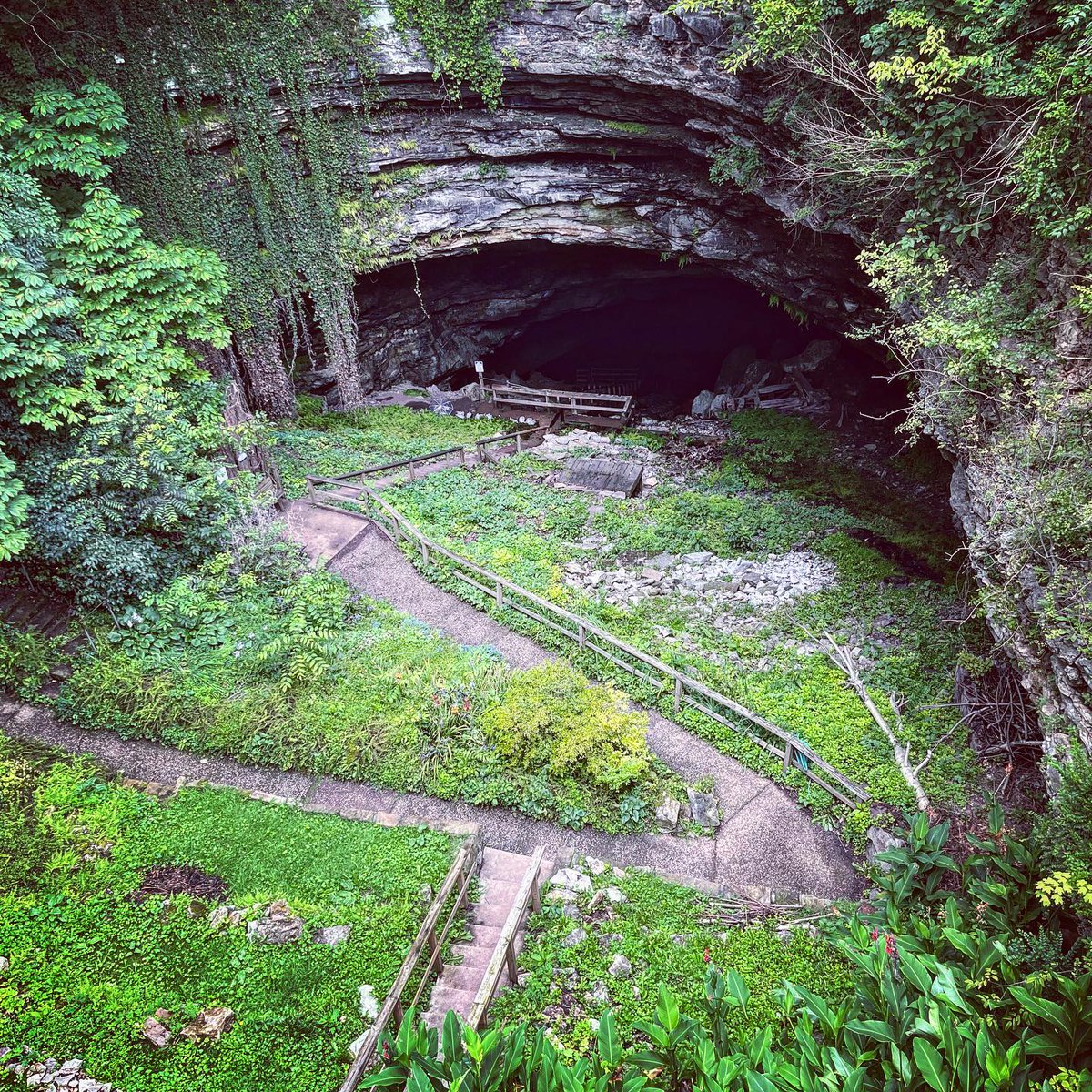 Kentucky Tourism tweet media