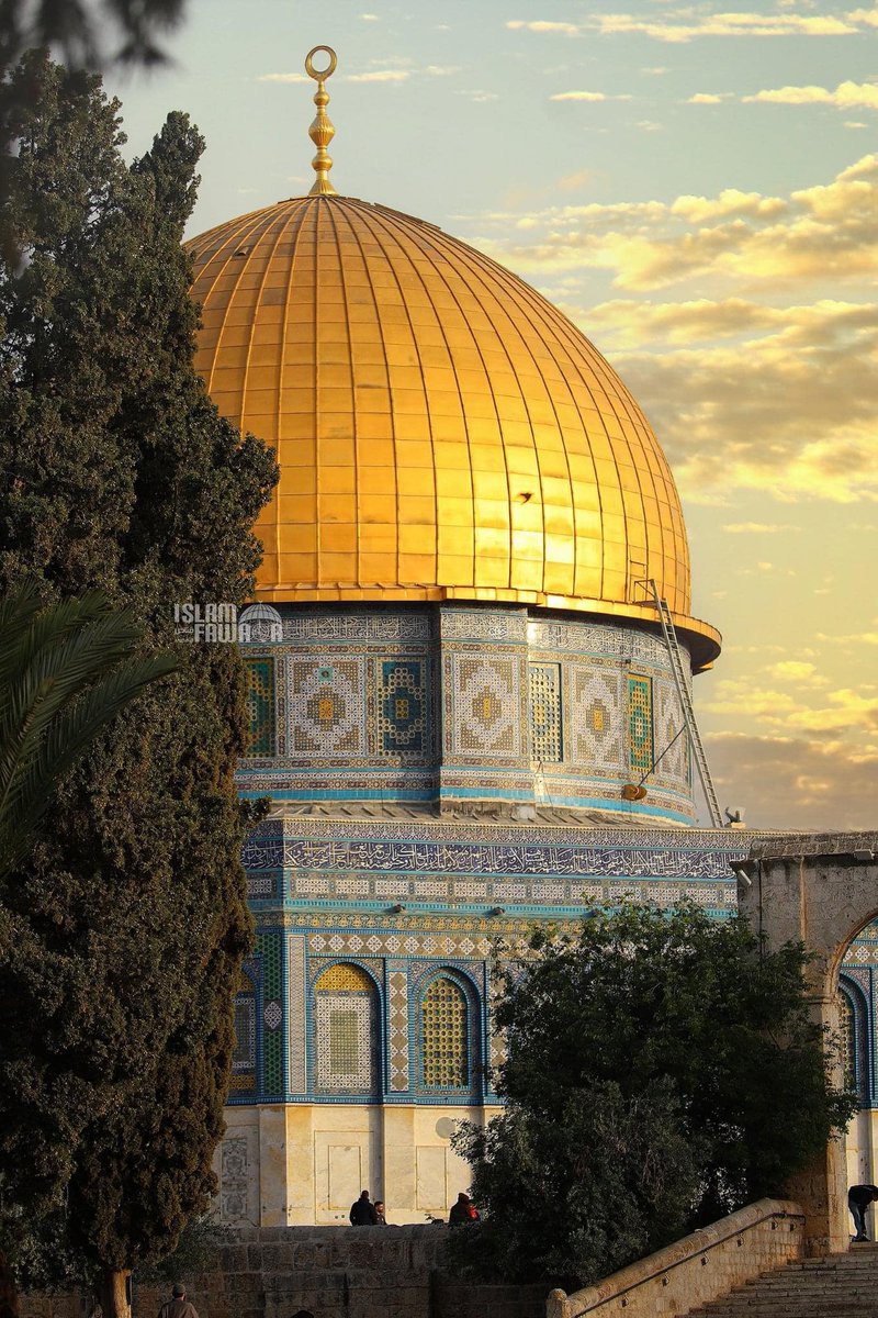 PalestineUrdu_'s tweet photo. الا ان نصر اللہ قریب
جان لو کہ اللہ کی مدد قریب ہے

#طوفان_الأقصى #طوفان_القدس #فلسطین #حماس #غزہ #Hamas #Palestine #Gaza https://t.co/RugKtDzUwH