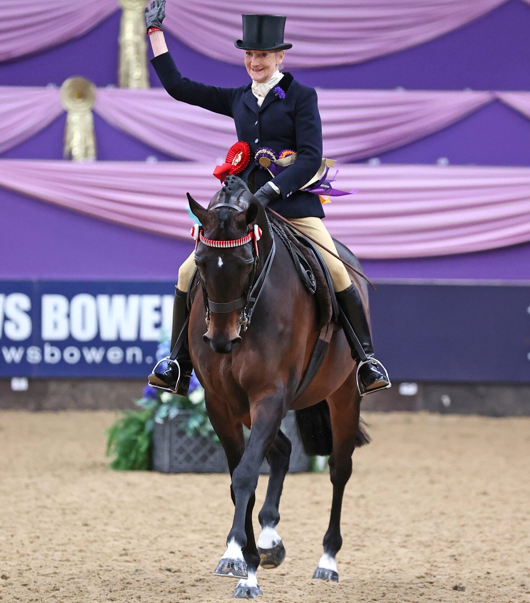‘This is fantastic for racehorses’: ex-racer lifts HOYS riding horse championship trib.al/REVCQop