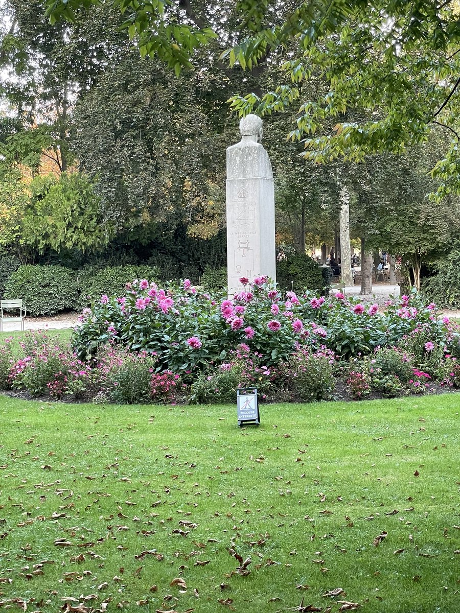 Sunday greetings #FlowerReport A flush of dahlias at Luxembourg Gardens @alyssaharad