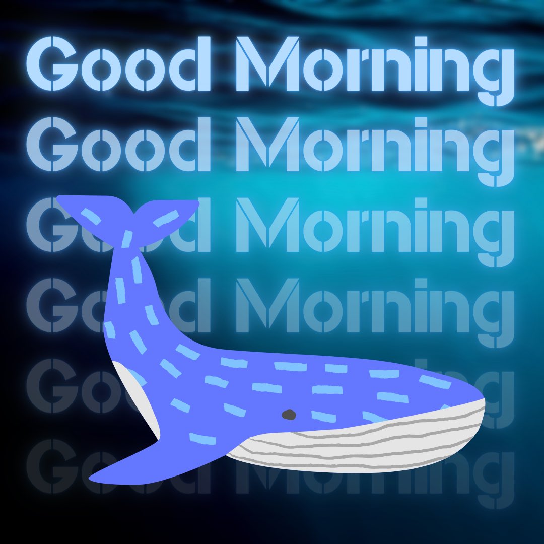 Wise Whales (@wisewhales) on Twitter photo Good Morning ๐
How you all feeling today? Good Morning ๐
How you all feeling today?