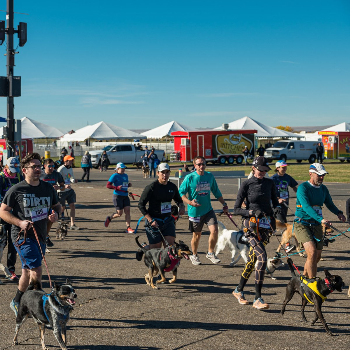AnimalHumaneNM's tweet image. Doggie Dash &amp;amp; Dawdle is so fun everyone wants to run! Use code fun25 for 25% off your registration - but don't dawdle! The code is only good through October 14! Register at loom.ly/RtjU6MA
#savemorelives #doggiedashnm #running #pets #dogs #shelterlife