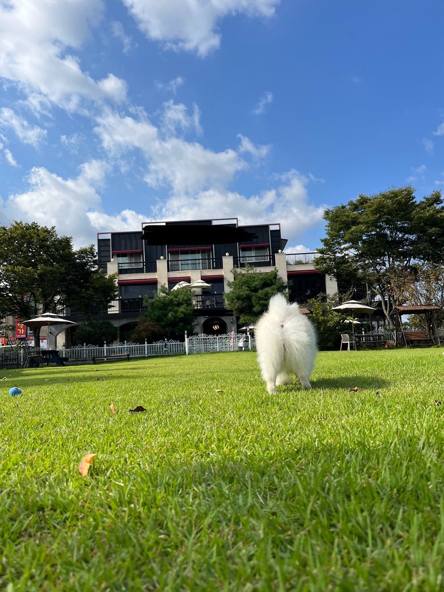 자몽 두째언니🍊 tweet media