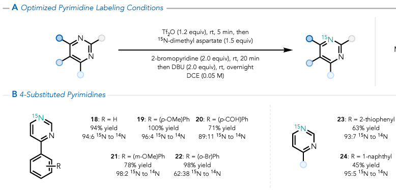 Scott Bagley tweet media