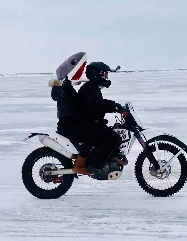 Fuseideas tweet media