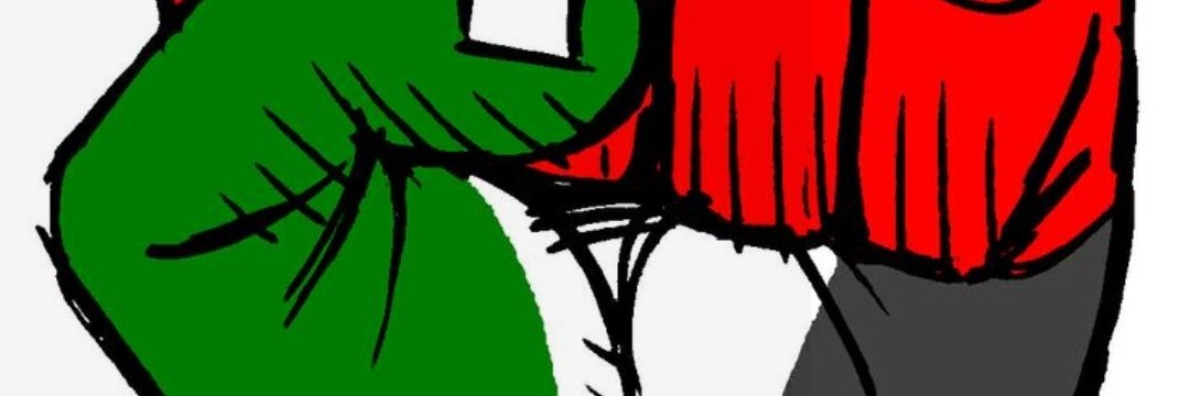 accinpormexico2's tweet photo. @HoyPalestina libre mexico con ustedes https://t.co/7c3q7eg4k2