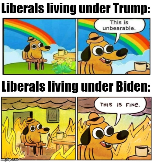 Mudsharkfilms2's tweet photo. @charliekirk11 https://t.co/20NPOJzqf8