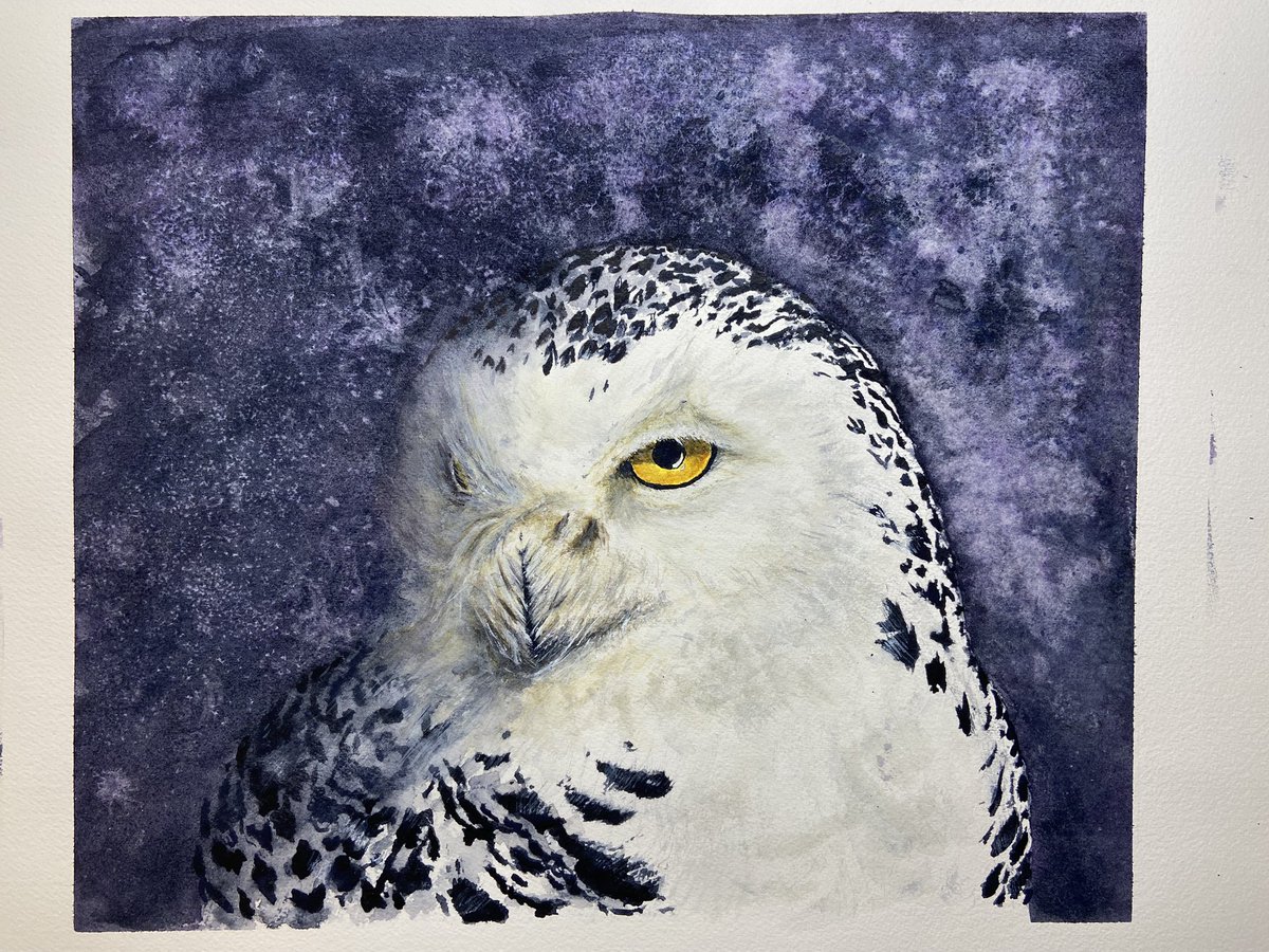 Nick Calder tweet media