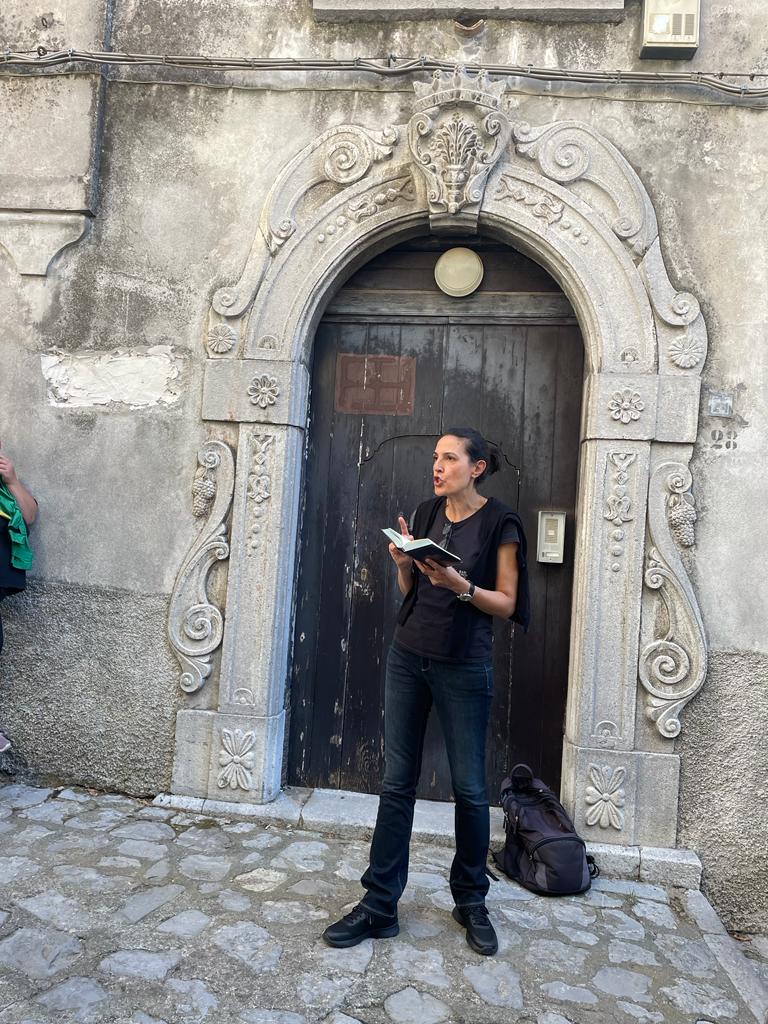 ArtePollino tweet media