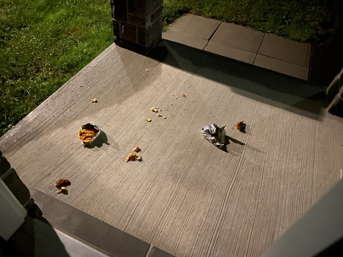 Guess what this was? 

My Uber eats order that a raccoon got to enjoy. 🦝😂