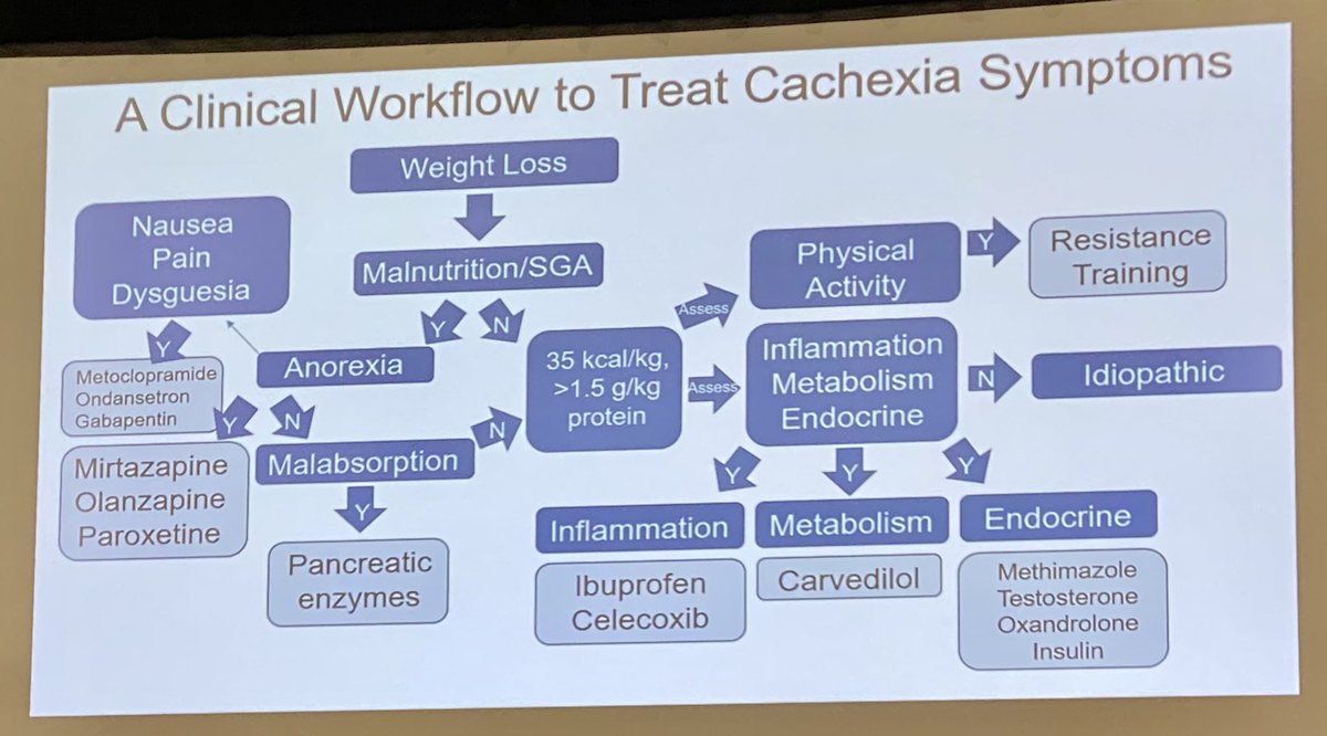 Mechanisms of cachexia are not well understand. @MarcusDGon provides a helpful clinical workflow and framework to address this challenging syndrome while we wait for science to advance in this area of study. #FNCE