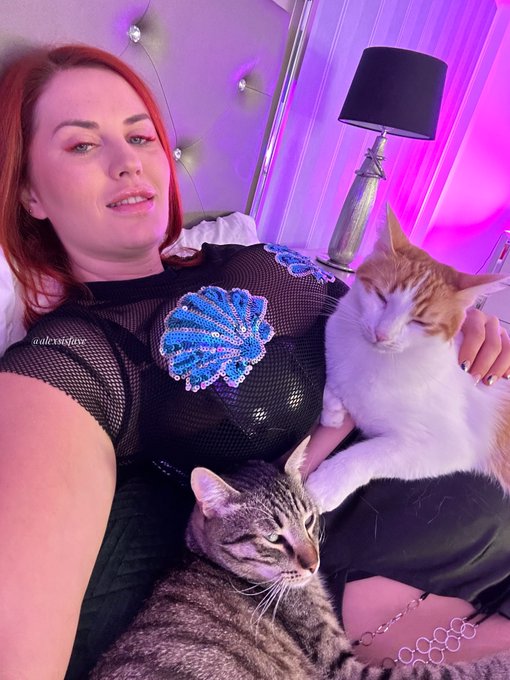 1 pic. Snuggly Sunday with the babies??? https://t.co/qZ0tPhXI12