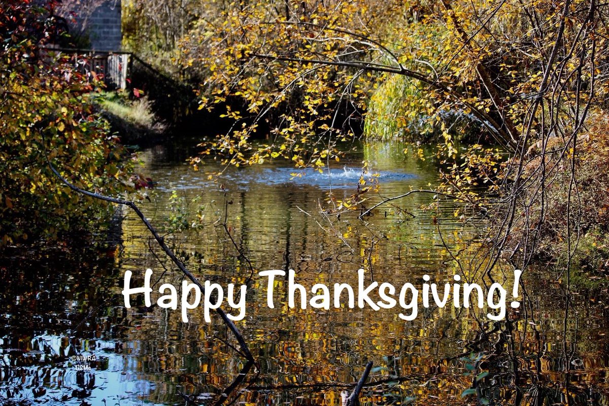 Happy Thanksgiving from all of us at NIWRA! We hope you and yours are having a relaxing, enjoyable and safe long weekend. As always we thank you for your support, care and friendship. We’re open all weekend from 9-4:30 😉