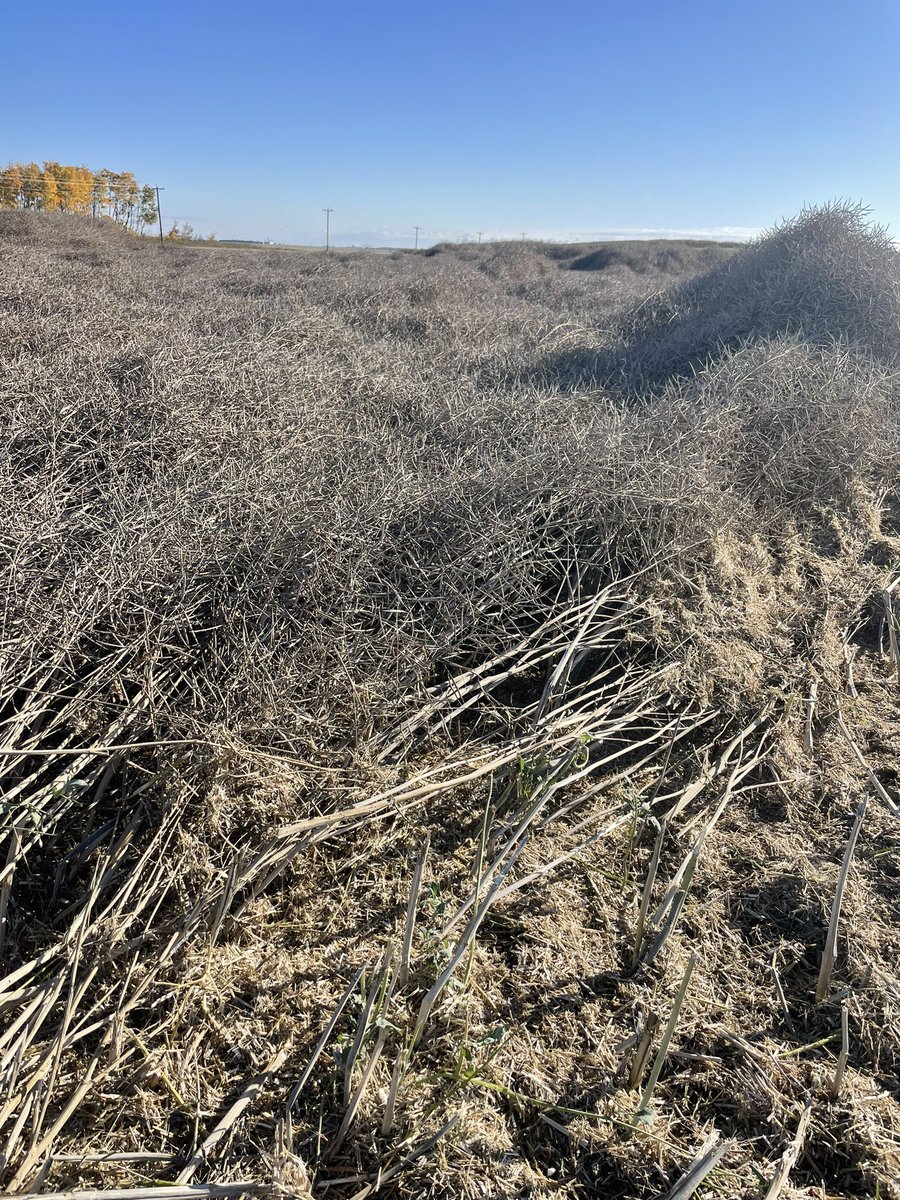 Sumpointe Acres Ltd tweet media