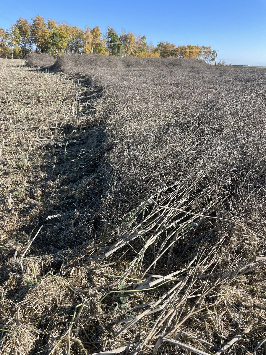 Sumpointe Acres Ltd tweet media