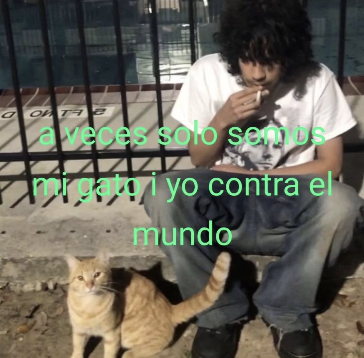 padecirnosotros's tweet image. 