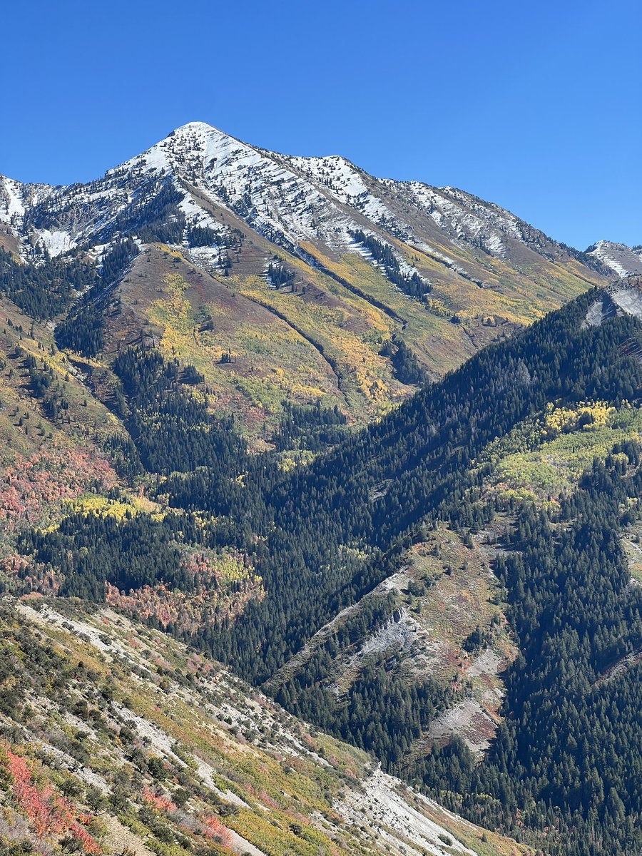 existentialrobo's tweet image. Casually