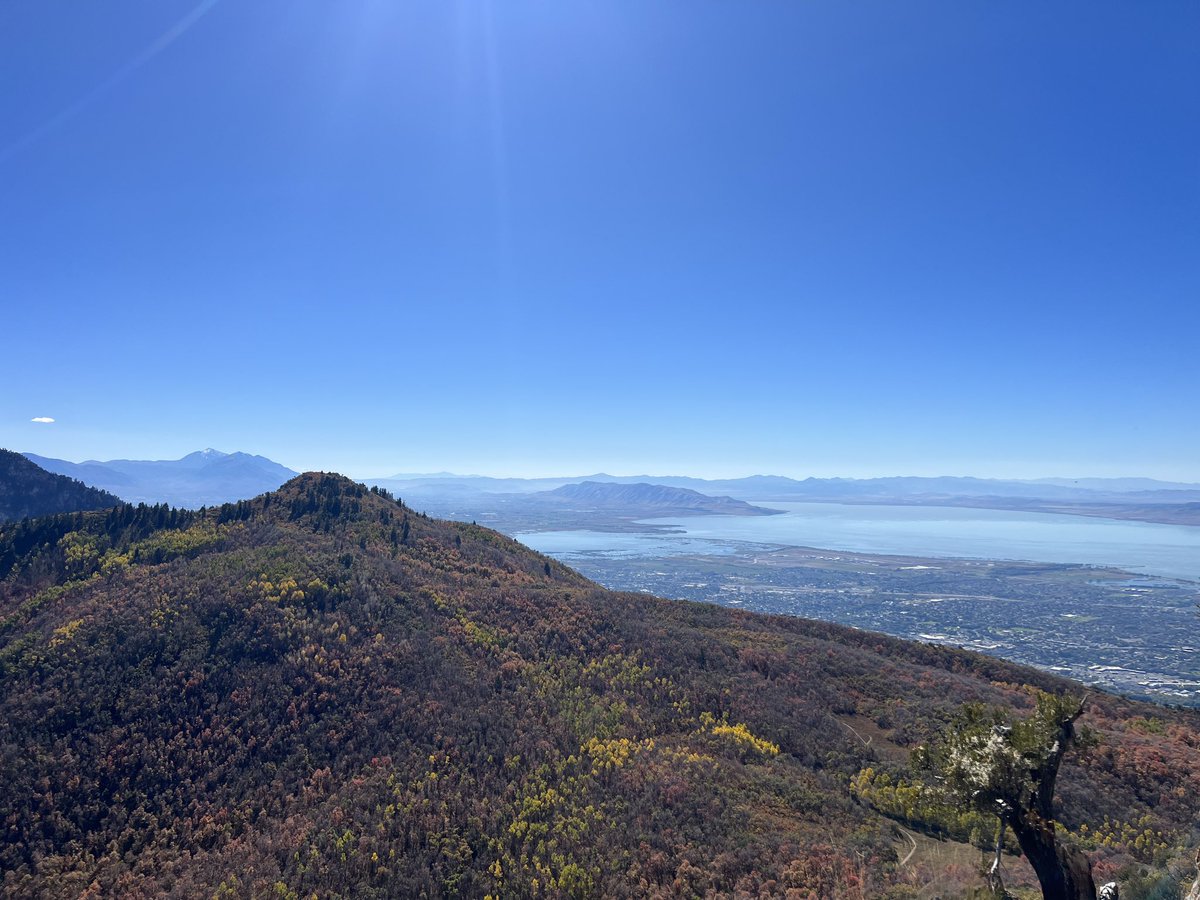 existentialrobo's tweet image. Casually