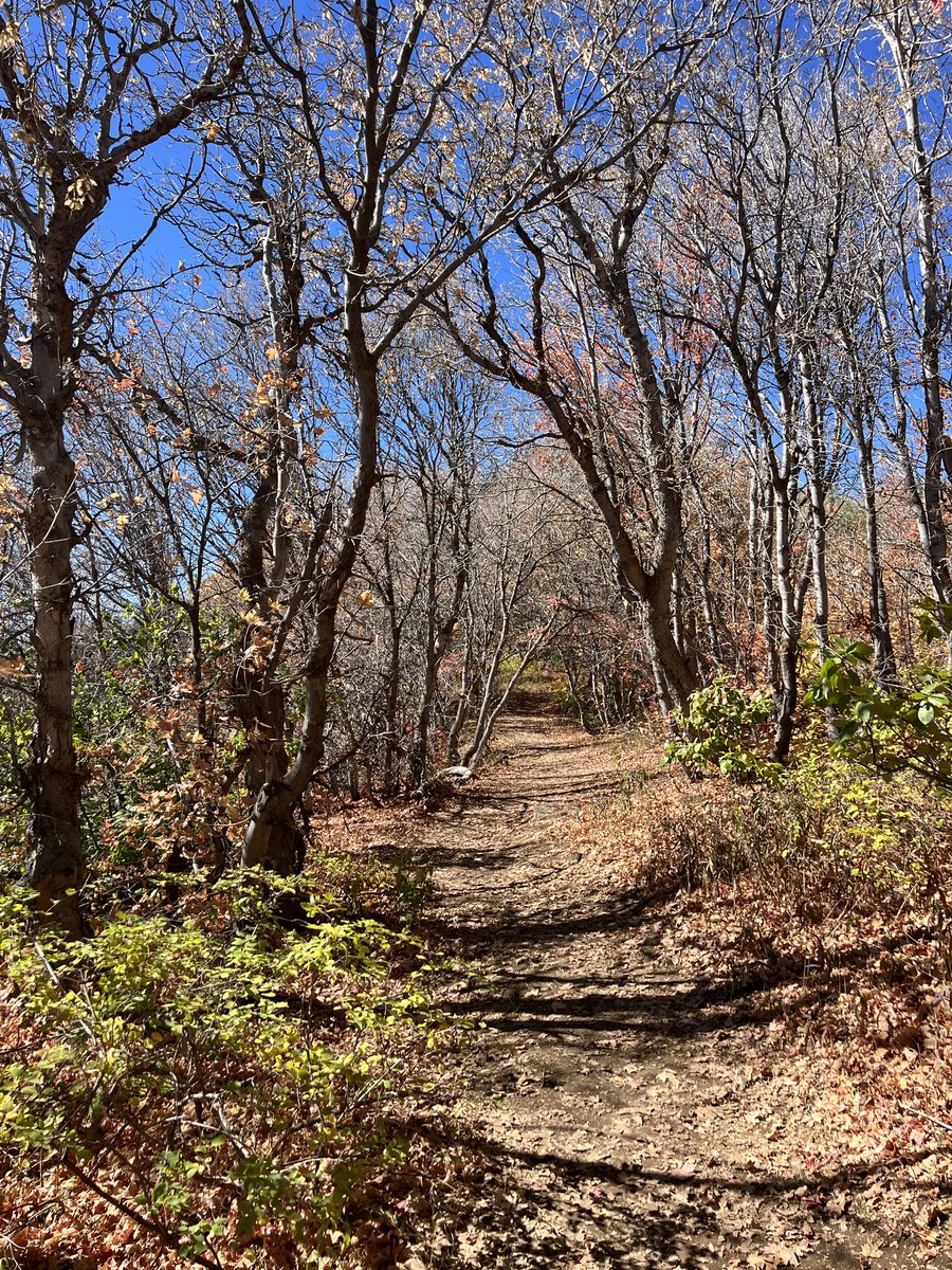 existentialrobo's tweet image. Casually