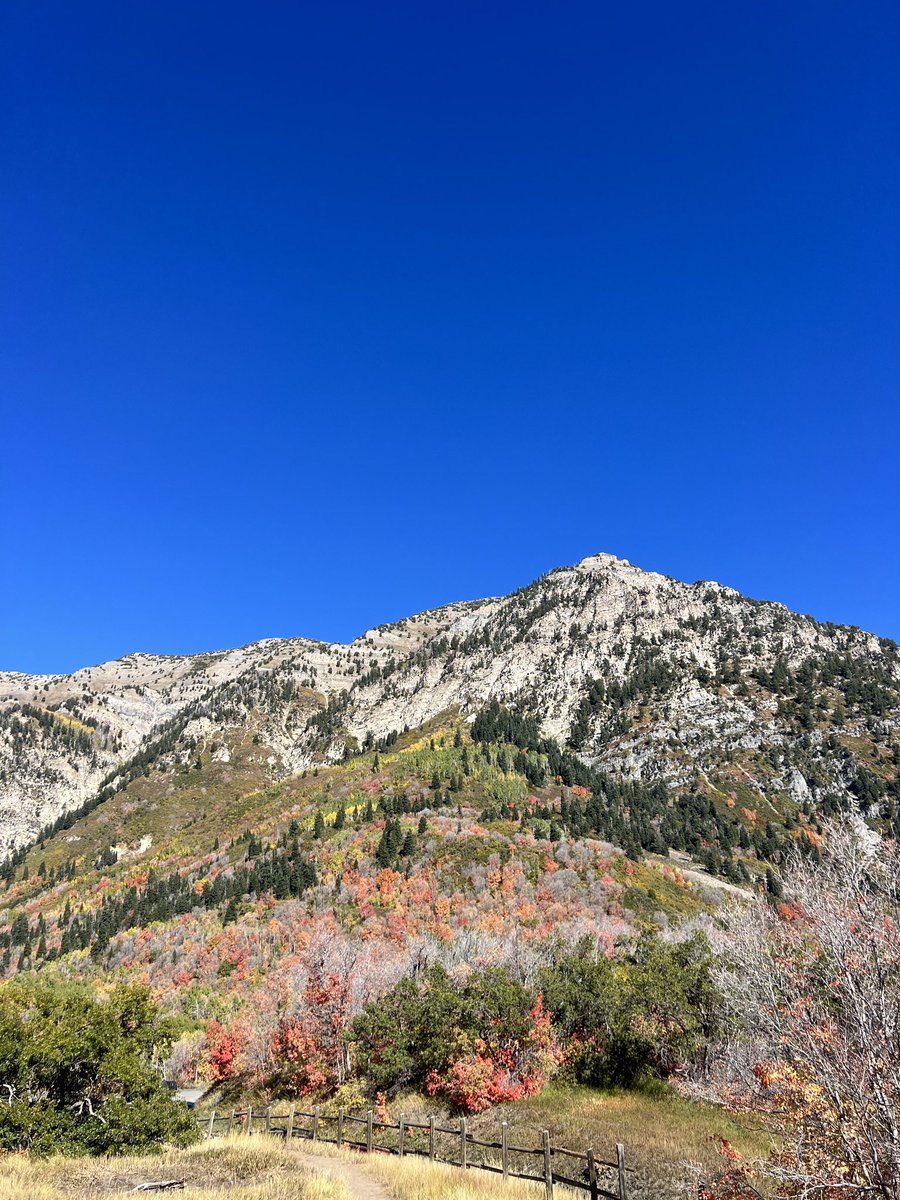 existentialrobo's tweet image. Casually