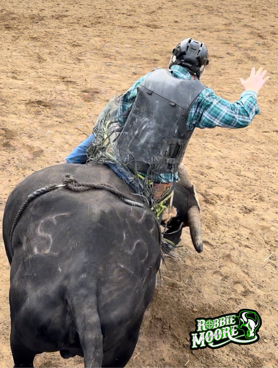 moorebullriding's tweet photo. Sunday morning stroll… @patch_ops @KarenSuttman Stropkey Nurseries - Judith White - Madison Tap House - Mike Brown Customs - Johnny Law Automotive  @robmoorelaw Casa Agave Mexican Grill #rollrobbie #roughstockrobbie #bullriding https://t.co/BYWWSSOxHr