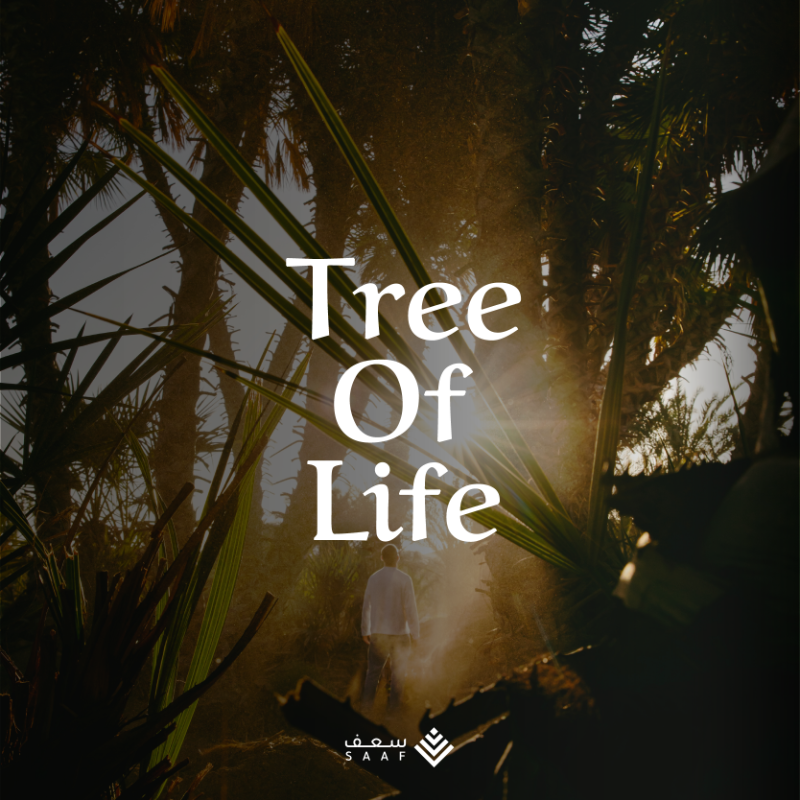 SAAFSA_'s tweet photo. في قلب التراث السعودي تقف شجرة الحياة🌴✨. 
At the heart of Saudi heritage stands the Tree of Life. 🌴✨