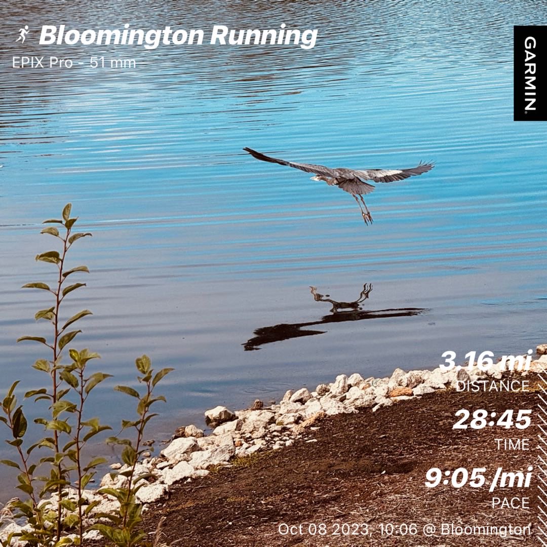 mscordill's tweet photo. #beatyesterday #garmin https://t.co/9ePorNtvf0