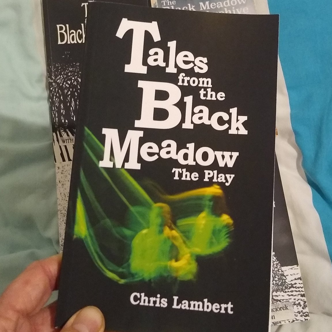 folk_horror's tweet photo. The latest missive by @hambert, recently emerged from the mists on the Black Meadow, &amp; including a transcript of the launch event with @Bob_Fischer at our 2019 FHR Winter Ghosts event in Whitby

Available here, all profits go to Worldwide Cancer Research
https://t.co/dfXoSYXuE6 https://t.co/HfSh9PpyNM