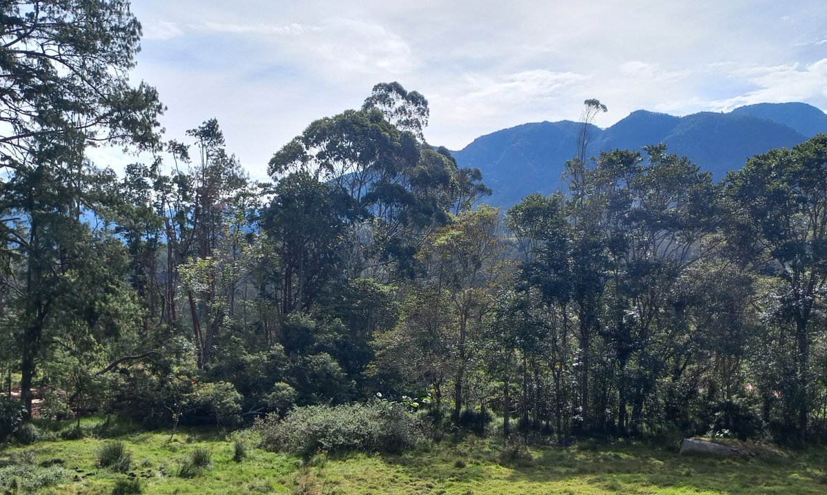 GIAndradeP's tweet photo. Sigo sin entender como en este sector allá arriba @CAR_Cundi  aprobo una licencia para una mina. Es San Francisco de Sales "reserva hidrica del Gualiva". Escarpe occidental de la Sabana del río Bogota. @MinAmbienteCo https://t.co/tUeREd5zn9