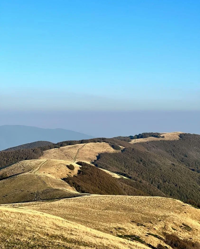Pratomagno1's tweet photo. Guardare un tramonto ti fa sentire più forte perché sono la prova che anche una fine può essere bella ☺️
@Pratomagno1 nelle immagini from #instagram 
By @gionatan111 https://t.co/PlUamIJMHV