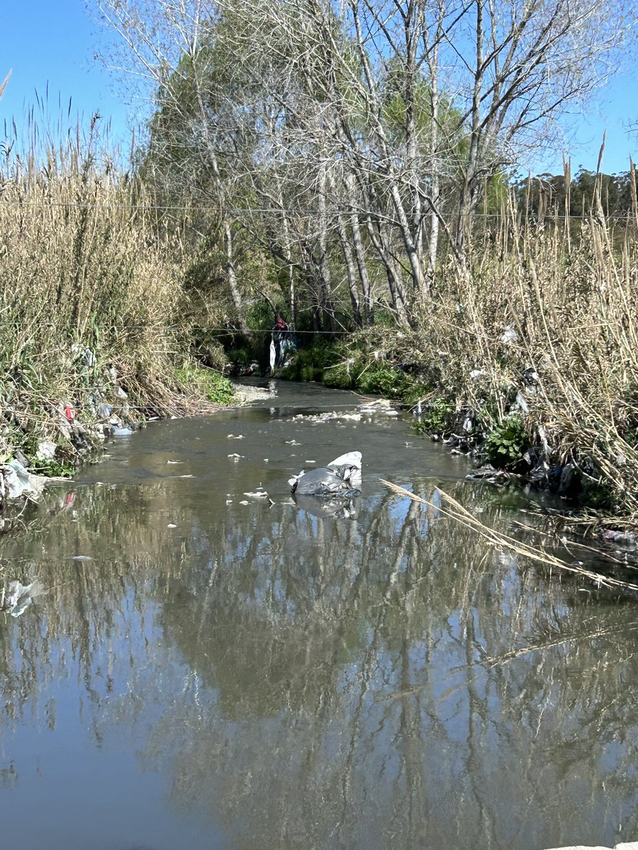 Jorge Capurro tweet media