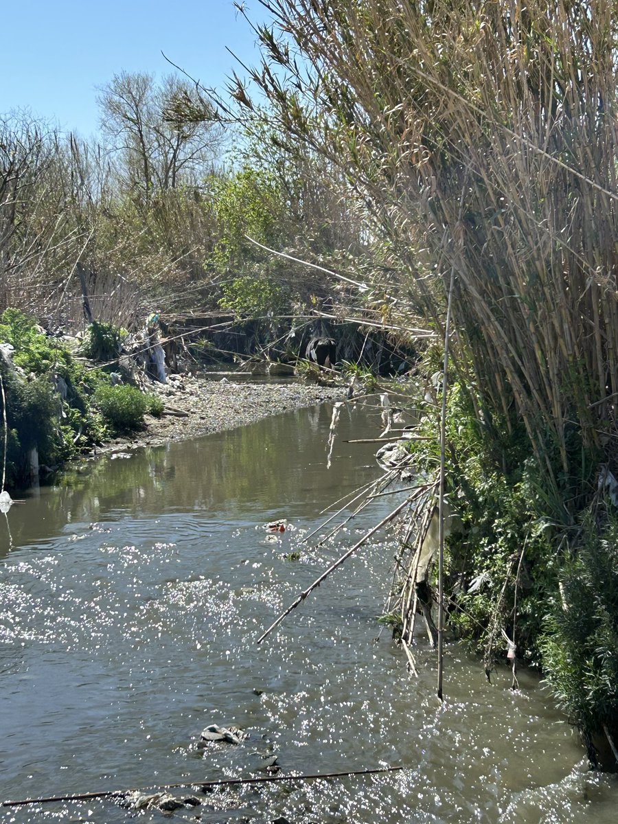 Jorge Capurro tweet media