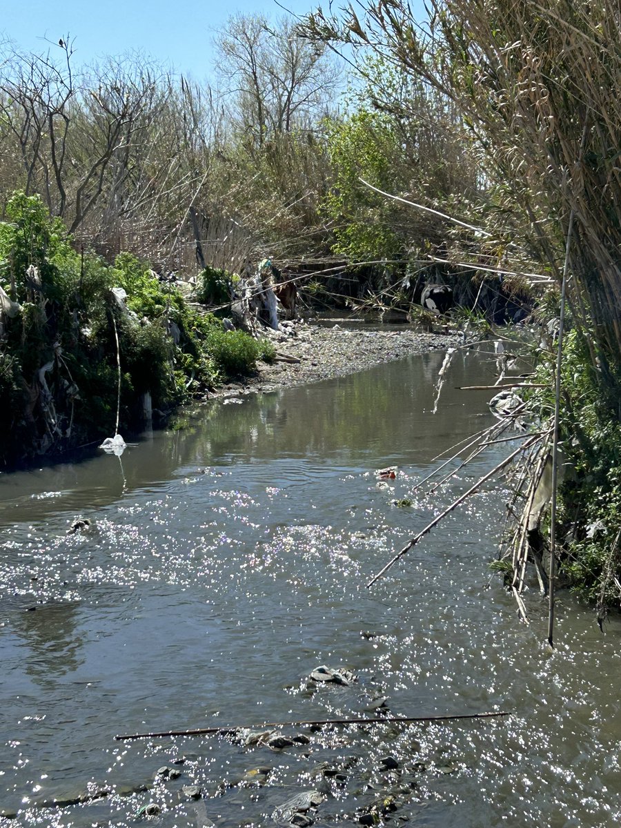 Jorge Capurro tweet media