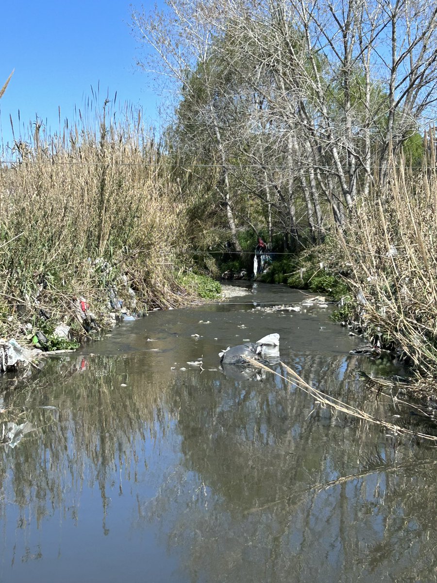 Jorge Capurro tweet media